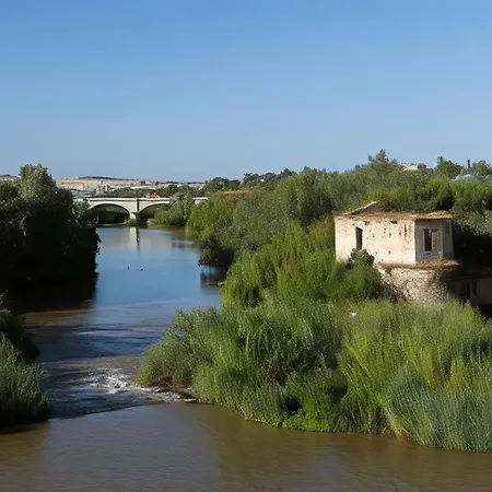 Calahorra Experience - Mezquita Frontline * Cordoue